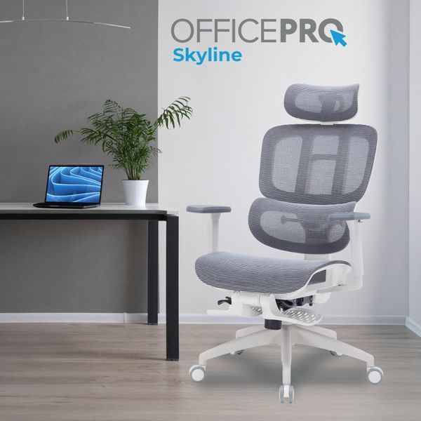 Кресло офисное OfficePro Skyline OC750-W-DG-DG 000002855 фото