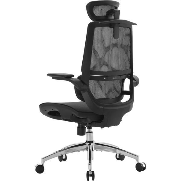 Крісло офісне Sihoo M59AS Mesh Black 000002895 фото