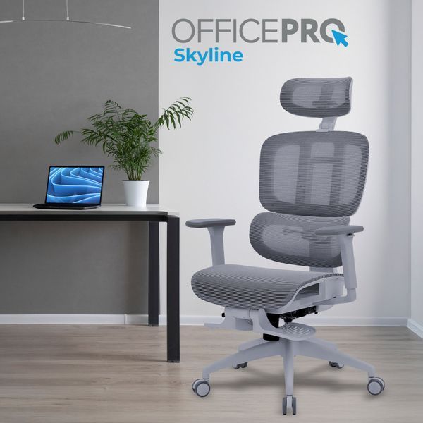 Крісло офісне OfficePro Skyline OC750-G-DG-DG 000002854 фото
