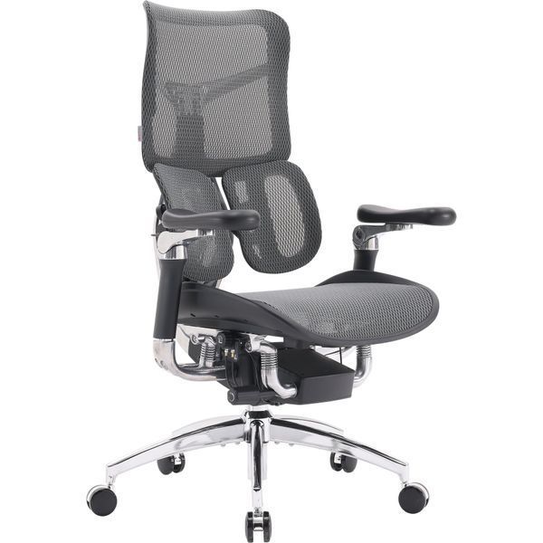 Крісло офісне Sihoo DORO S300 Mesh Dark Grey 000002468 фото