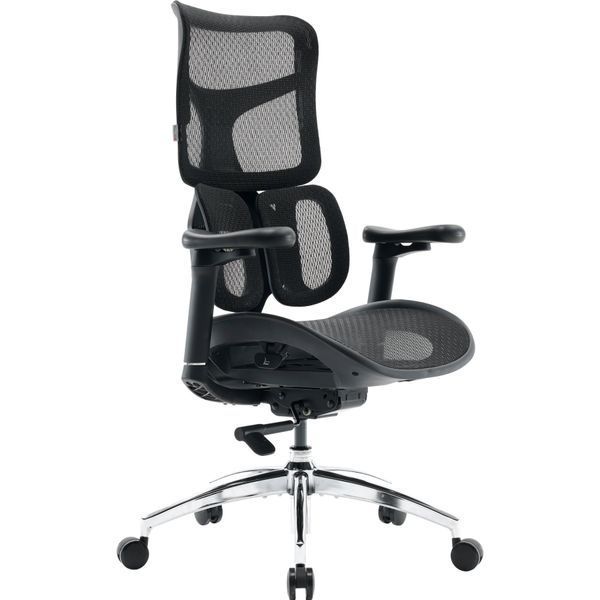 Кресло офисное Sihoo DORO S100 Mesh Black 000002470 фото