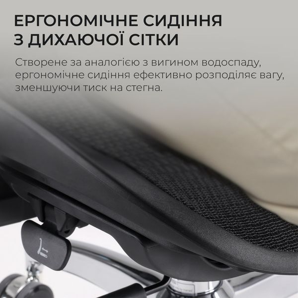 Кресло офисное Sihoo DORO S100 Mesh Black 000002470 фото
