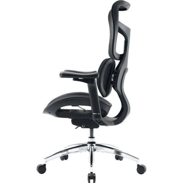 Кресло офисное Sihoo DORO S100 Mesh Black 000002470 фото
