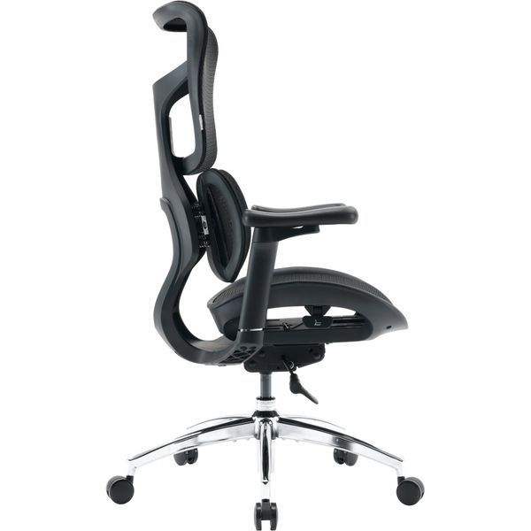 Кресло офисное Sihoo DORO S100 Mesh Black 000002470 фото