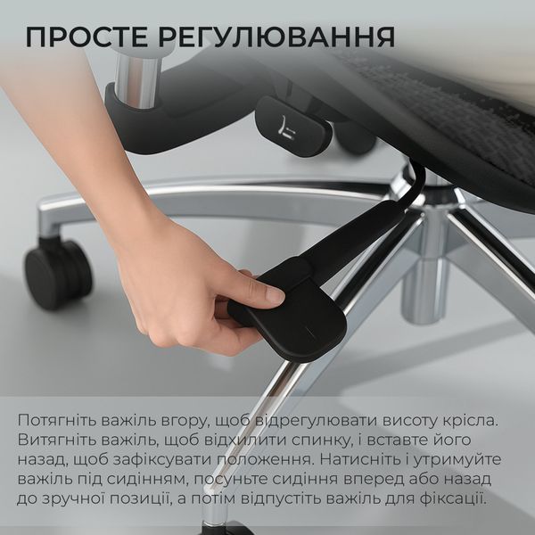 Кресло офисное Sihoo DORO S100 Mesh Black 000002470 фото