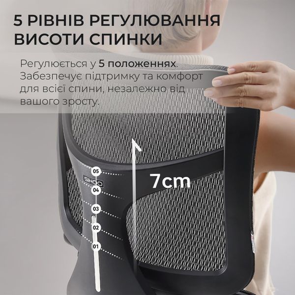 Кресло офисное Sihoo DORO S100 Mesh Black 000002470 фото