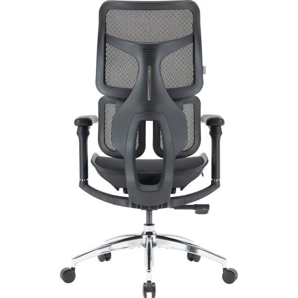 Кресло офисное Sihoo DORO S100 Mesh Black 000002470 фото