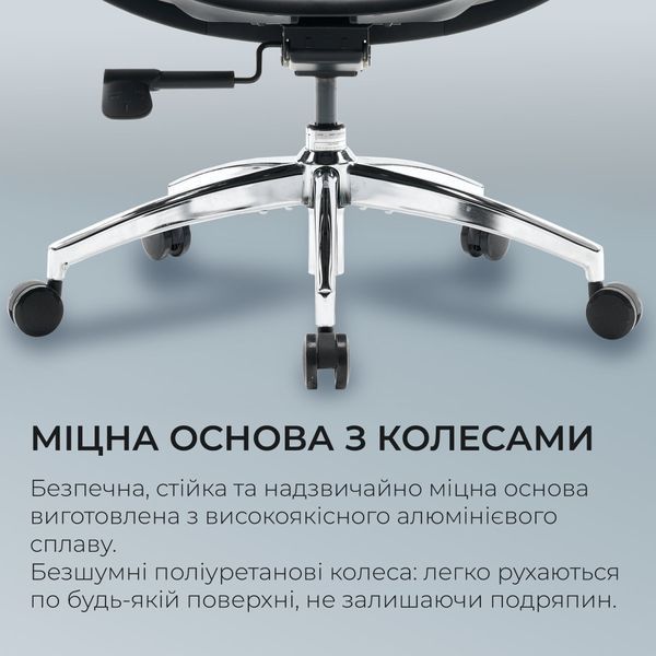 Кресло офисное Sihoo DORO S100 Mesh Black 000002470 фото