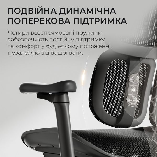 Кресло офисное Sihoo DORO S100 Mesh Black 000002470 фото