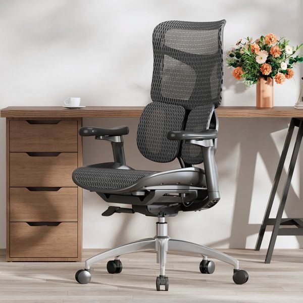 Кресло офисное Sihoo DORO S100 Mesh Black 000002470 фото