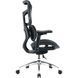 Кресло офисное Sihoo DORO S100 Mesh Black 000002470 фото 3