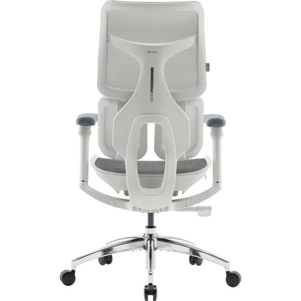Крісло офісне Sihoo DORO S100 Mesh White 000002471 фото