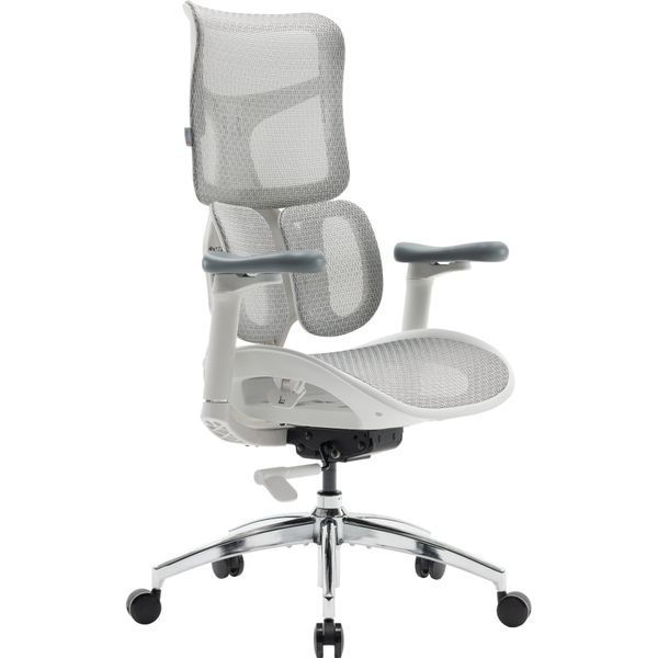 Крісло офісне Sihoo DORO S100 Mesh White 000002471 фото