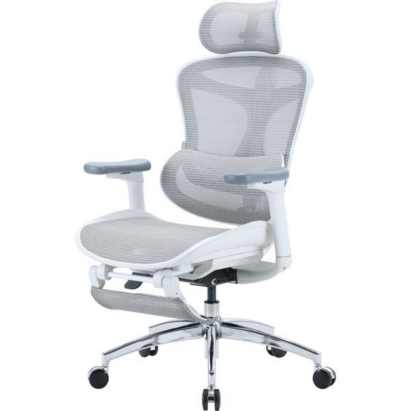 Крісло офісне з підставкою для ніг Sihoo DORO C300L Mesh White with footrest 000002835 фото Крісло офісне з підставкою для ніг Sihoo DORO C300L Mesh White with footrest 000002835 фото
