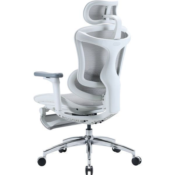 Крісло офісне з підставкою для ніг Sihoo DORO C300L Mesh White with footrest 000002835 фото Крісло офісне з підставкою для ніг Sihoo DORO C300L Mesh White with footrest 000002835 фото