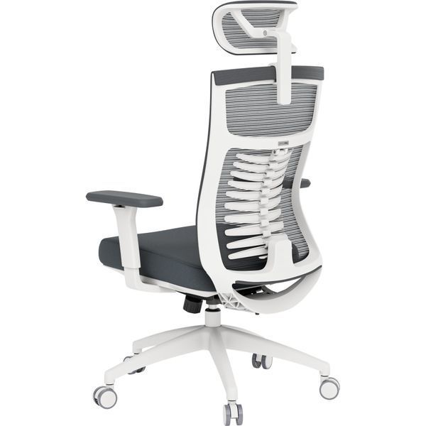 Кресло офисное OfficePro Balance OC550-W-DG-DG 000002214 фото