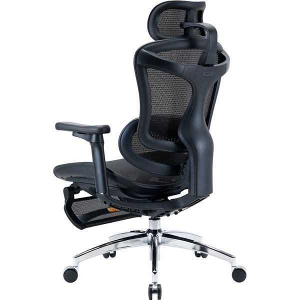 Крісло офісне з підставкою для ніг Sihoo DORO C300L Mesh Black with footrest 000002834 фото