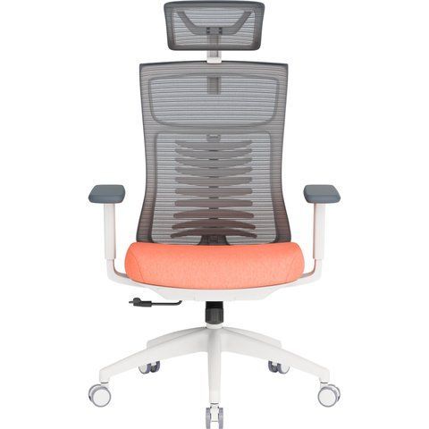 Крісло офісне OfficePro Balance OC550-W-DG-OR 000002217 фото