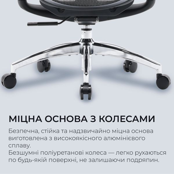 Крісло офісне Sihoo DORO C300L Mesh Black 000002463 фото