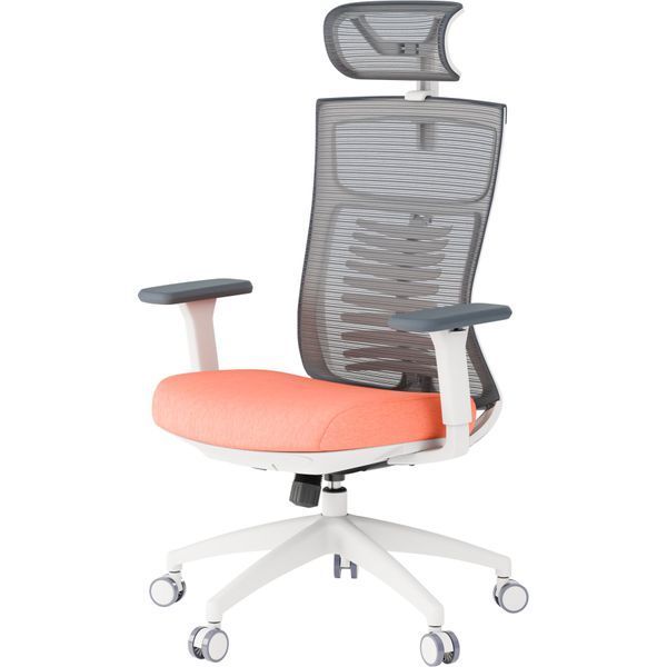 Крісло офісне OfficePro Balance OC550-W-DG-OR 000002217 фото