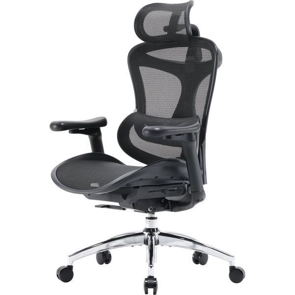 Крісло офісне Sihoo DORO C300L Mesh Black 000002463 фото