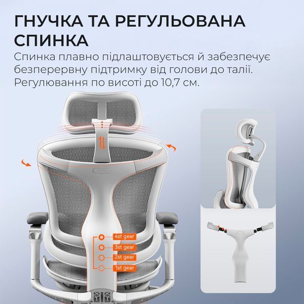 Кресло офисное Sihoo DORO C300 Pro Mesh White 000002465 фото