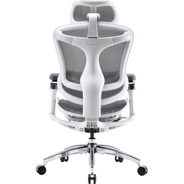 Кресло офисное Sihoo DORO C300 Pro Mesh White 000002465 фото