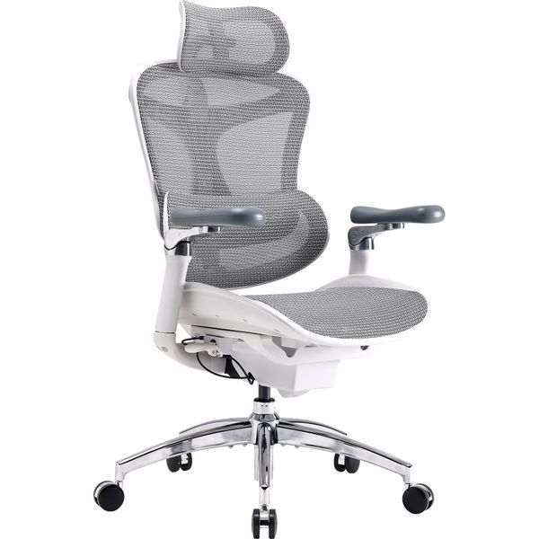 Кресло офисное Sihoo DORO C300 Pro Mesh White 000002465 фото