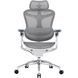 Кресло офисное Sihoo DORO C300 Pro Mesh White 000002465 фото 1