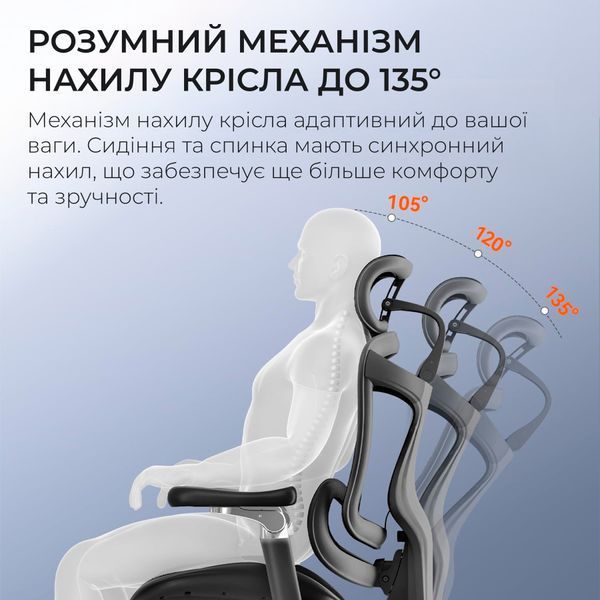 Крісло офісне Sihoo DORO C300 Pro Mesh Black 000002464 фото