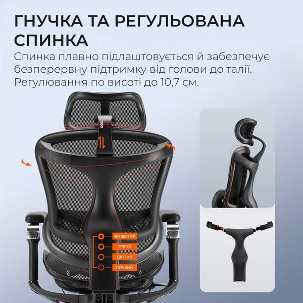 Крісло офісне Sihoo DORO C300 Pro Mesh Black 000002464 фото
