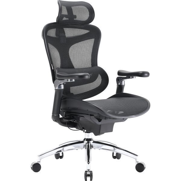 Крісло офісне Sihoo DORO C300 Pro Mesh Black 000002464 фото