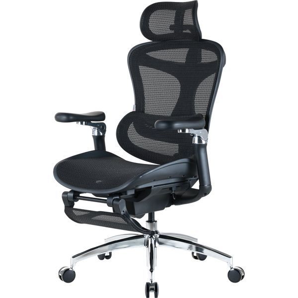 Крісло офісне з підставкою для ніг Sihoo DORO C300 Pro Mesh Black with footrest 000002832 фото