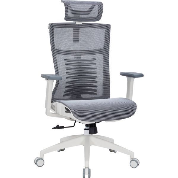 Крісло офісне OfficePro Balance OC620-W-DG-DG 000002238 фото