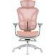 Крісло офісне OfficePro Elite OC950GLP Gray/Light Pink 000002972 фото 1